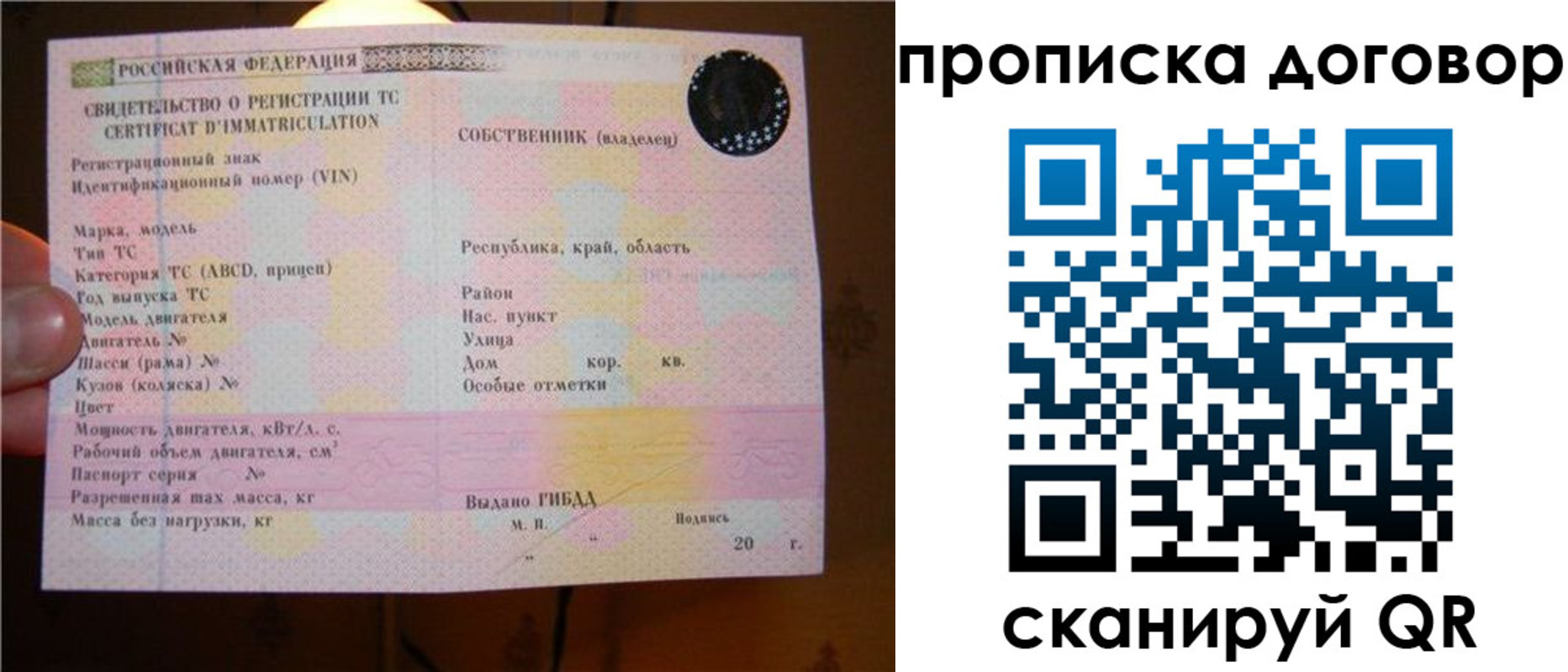 временная регистрация поиск в Ельне